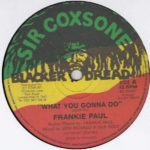 Frankie Paul / Horace Andy - What You Gonna Do / My Sound (12") (Very Good Plus (VG+))
