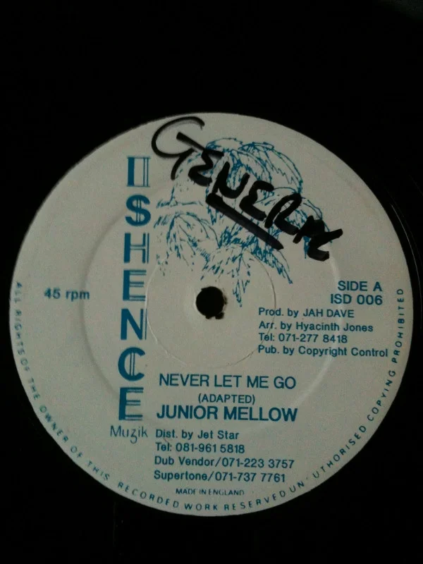 Junior Mellow - Never Let Me Go (12") (Very Good Plus (VG+))
